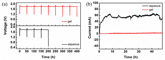 /Users/li/Desktop/二次返稿/ami-2返提交论文/Figure 7-文章中.tifFigure 7-文章中